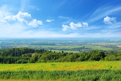 Przyroda